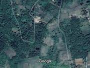 18 ha ingyen