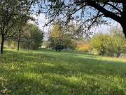 Gyönyörű panorámával eladó telek Oroszlány külterületén