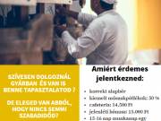 Anyagmozgató, gépkezelő munkatársat keresünk 2 műszakban (2 nap munka,2 nap pihenő) Vas megyében!