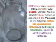 4250 ml dunsztos üveg, csavaros, eladó.