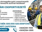 Gyári csoportvezetőt keresünk Vas vármegyébe!