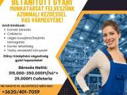 Betanított gyári munkalehetőség Vas vármegyében!