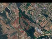 15314 m2-es mezőgazdasági ingatlan Szada