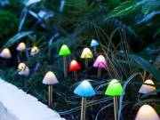 LED-es szolár lámpa - 12 db mini gomba - színes - 28,5 cm x 4 cm