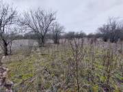 Eladó 0.74 ha termőföld, Röszke