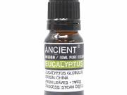 Eukaliptusz Illóolaj - 10ml