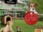6. Kör alakú biléta, telefonszám vagy név, nagy szívben