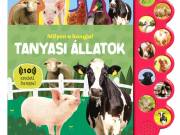 Napraforgó Milyen a hangja? - Tanyasi állatok