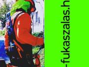 Fűkaszálás, Bozótirtás, Telektisztítás...