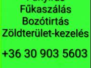 Fűnyírás Fűkaszálás...