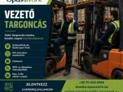 Targoncavezető-raktáros / Vezető targoncás