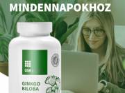 USA Medical Ginkgo Biloba kapszula 60 db