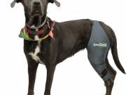 Ortocanis - Térdrögzítő kutyáknak S