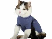 VetMedCare Body - műtét utáni ruha macskáknak XS