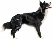 Balto - Sport térdvédő Szürke M