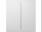Ajax - CENTERBUTTON-2GANG-WHITE