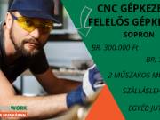 Felelős gépkezelő (2 műszak) Szállással