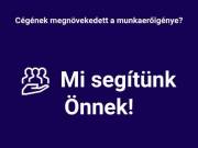Munkaerő Szakmunka segedmunka 