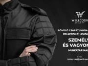 Személy,- és vagyonőr - Gvadányi út 