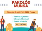 Budapesti raktáros munkalehetőség!