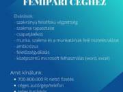 Igazgatót keresünk mindszenti fémipari céghez!