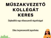 Műszakvezetőt keresünk Sopron környéki műanyagipari céghez!