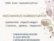 Villamos karbantartó, mechanikus karbantartó