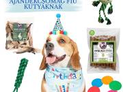 Születésnapi ajándékcsomag FIÚ kutyáknak