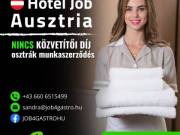 Szobalányt keresünk német nyelvtudással és gyakorlattal