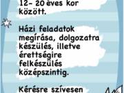 Angol és történelem korrepetálás