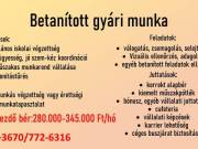 Betanított gyári munka