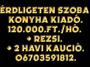 Érden Munkásszálló 2500ft./fő./éj. Kiadó!