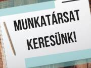 Eladót keresünk Érdi bőrdiszmű boltba 