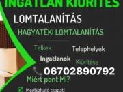 Lomtalanítás pincétől a padlsig ????????