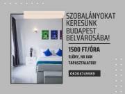 Szobalányokat keresünk