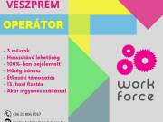 Operátor 3 műszakban (Veszprém)