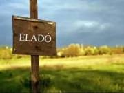 Eladó építési telkek Csapodon