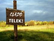 Sóstóhegyen eladó gyümölcsös