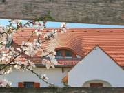 Eladó Ház, Balatonalmádi
