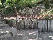 Eladó telek, Budapest 12. ker.