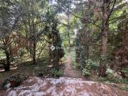 Eladó telek, Budapest 12. ker.