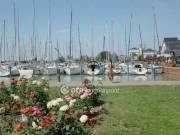 Eladó Lakás, Balatonkenese