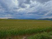 HÉREGEN ZÁRTKERT ELADÓ! ALKOSS SAJÁT OTTHONT EGY CSENDES KÖRNYÉKEN PANORÁMÁS KILÁTÁSSAL!
