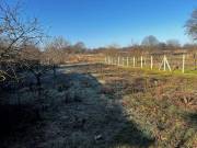 Eladó 71 m2-es családi ház Gödöllő, , Gödöllő