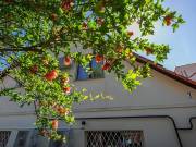 Eladó 180 m2-es családi ház Budapest III. kerület, , Csillaghegy