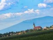 Eladó Telek, Mezőtárkány
