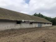 Eladó mezőgazdasági, Szank