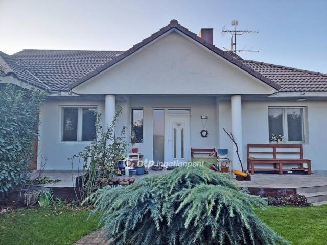 elad-tanya-debrecen-debrecen-h-z
