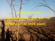 Eladó Telek, Nagyhalász