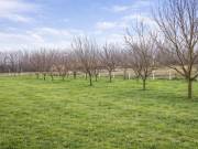 Eladó 80 m2-es Zártkert Jászberény